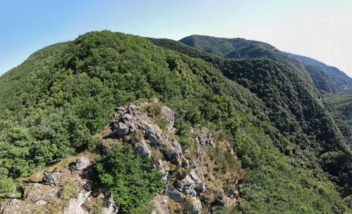 Gorges de Courgoul [02-07-2022](1001).jpg